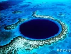 重磅：苏炳添主教练3选1(苏炳添同组选手)